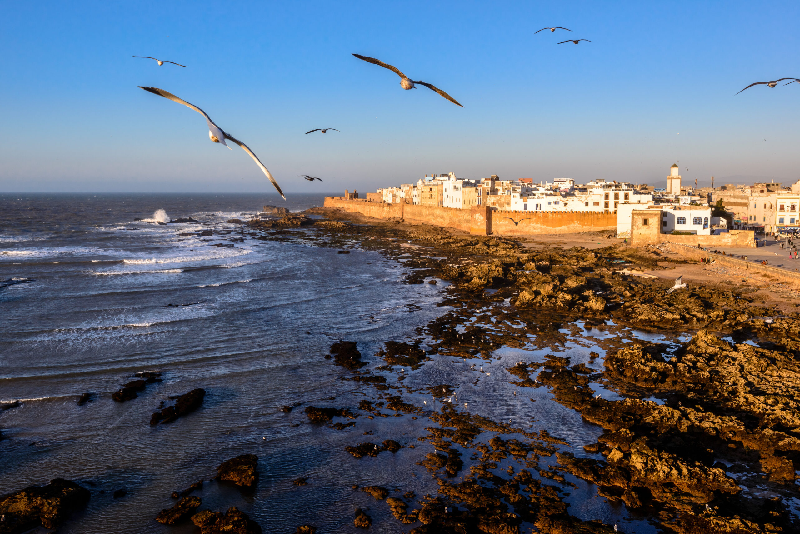 Day trip to Essaouira